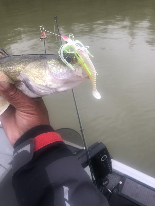 Photo - commentaire&nbsp;5.