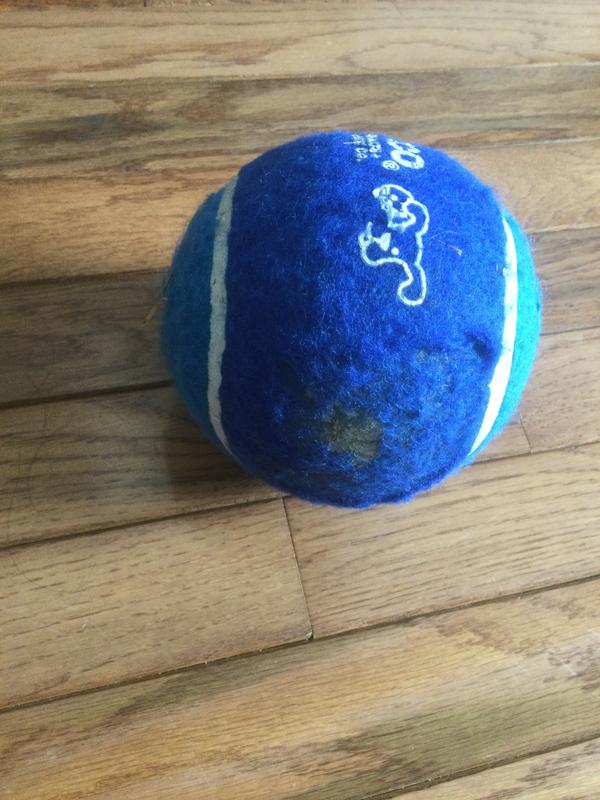 This happened within 10 minutes of her receiving the ball.