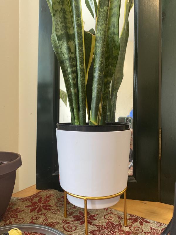 Photo - commentaire&nbsp;3.