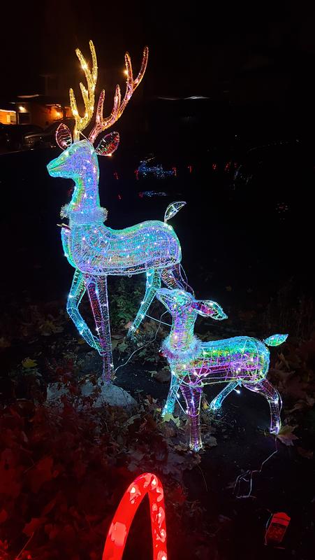 Photo - commentaire 3.