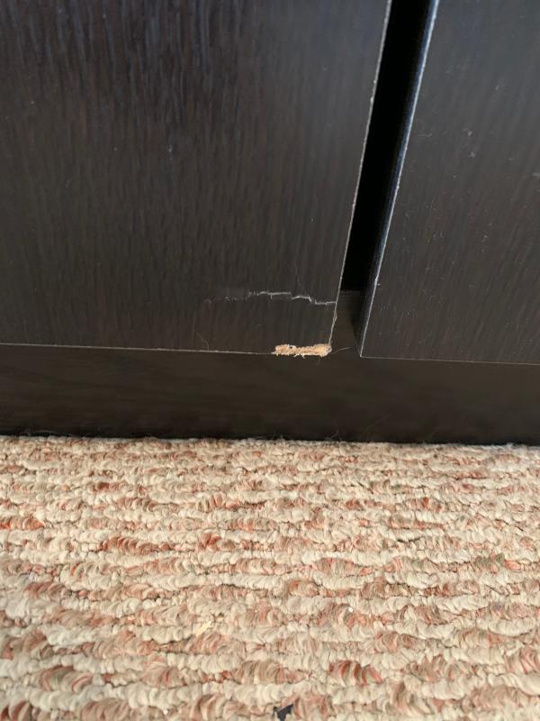Damage at bottom of door
