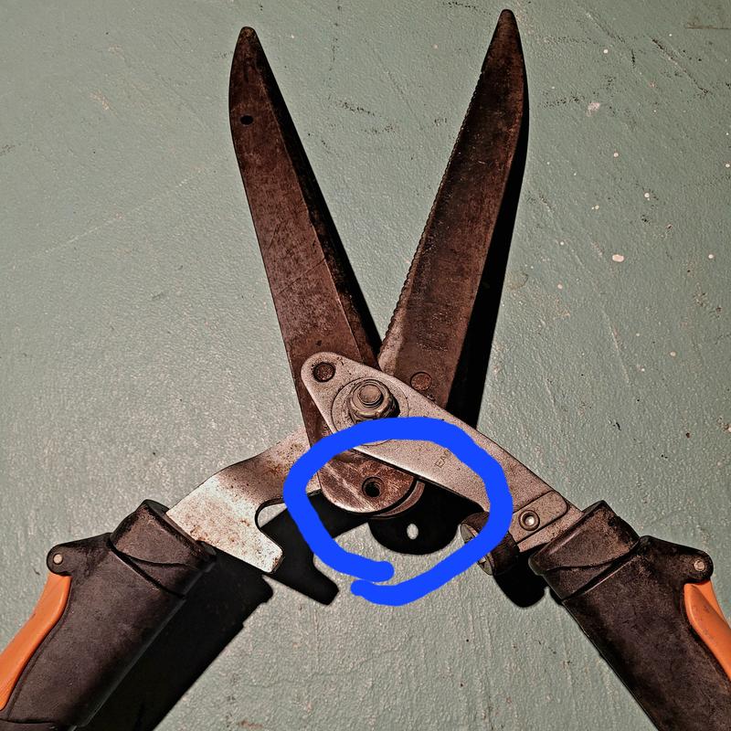 Photo - commentaire 1.