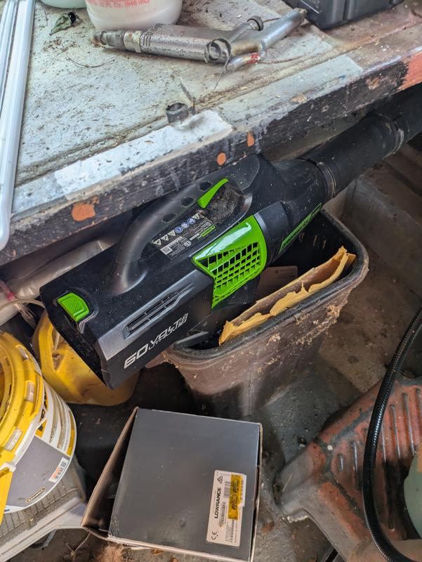 Photo - commentaire 4.