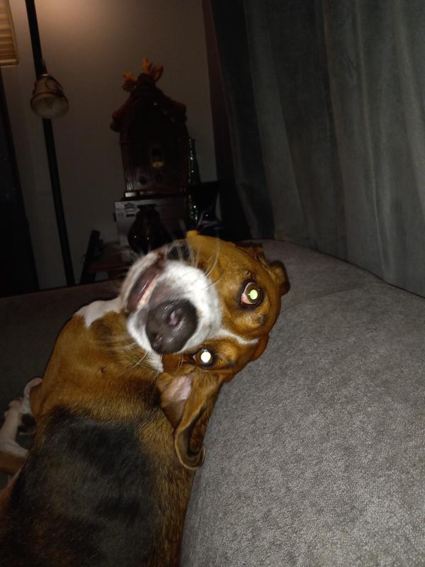 Photo - commentaire&nbsp;2.