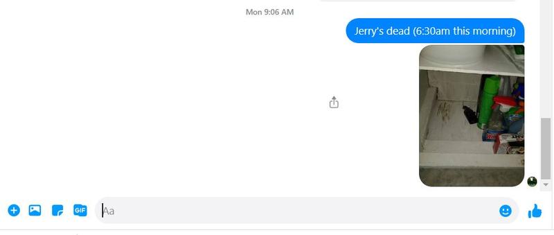 The Facebook message I sent to my cousin with a picture showing that 'Jerry' was caught
