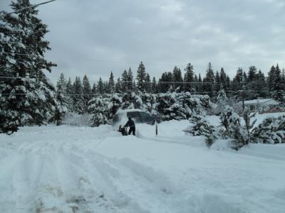 DRIVEWAY TOOK 20 MINUTES