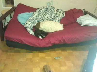 Photo - commentaire&nbsp;1.