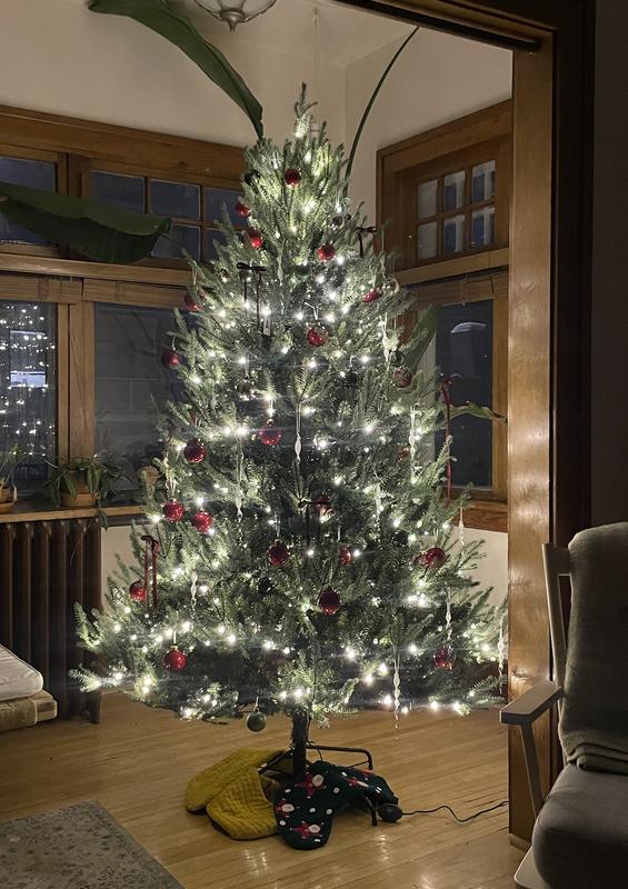 Photo - commentaire&nbsp;7.