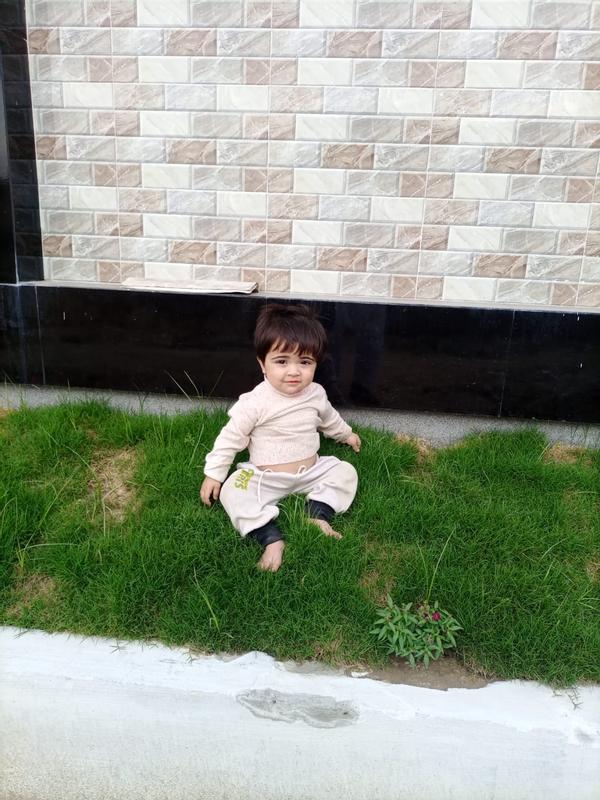 Photo - commentaire 2.