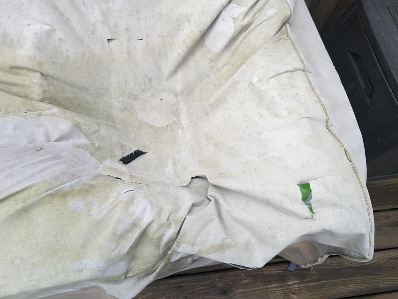 Photo - commentaire 2.