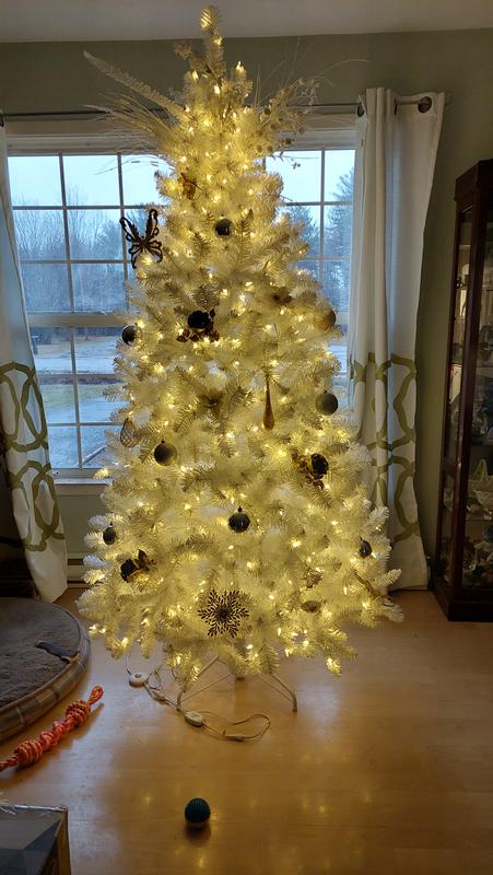 Photo - commentaire 8.