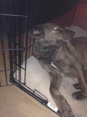 Photo - commentaire&nbsp;3.