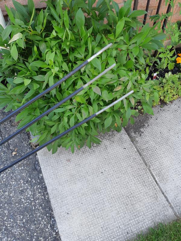 Plastic that pushed up on the stake. Peony bush behind.