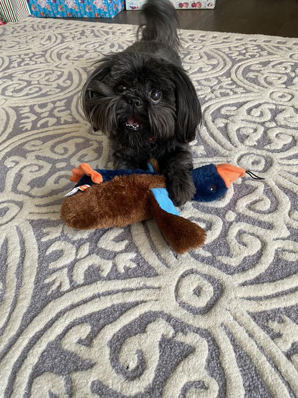 Photo - commentaire&nbsp;2.