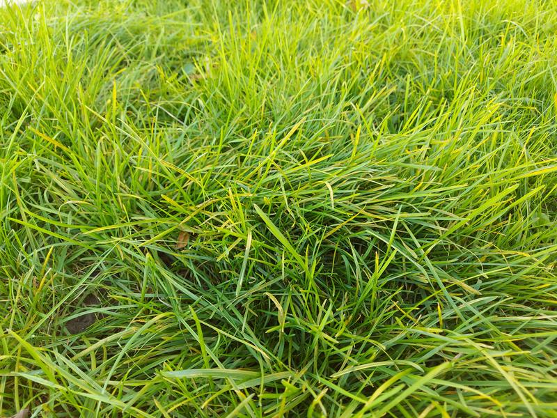 Photo - commentaire 8.