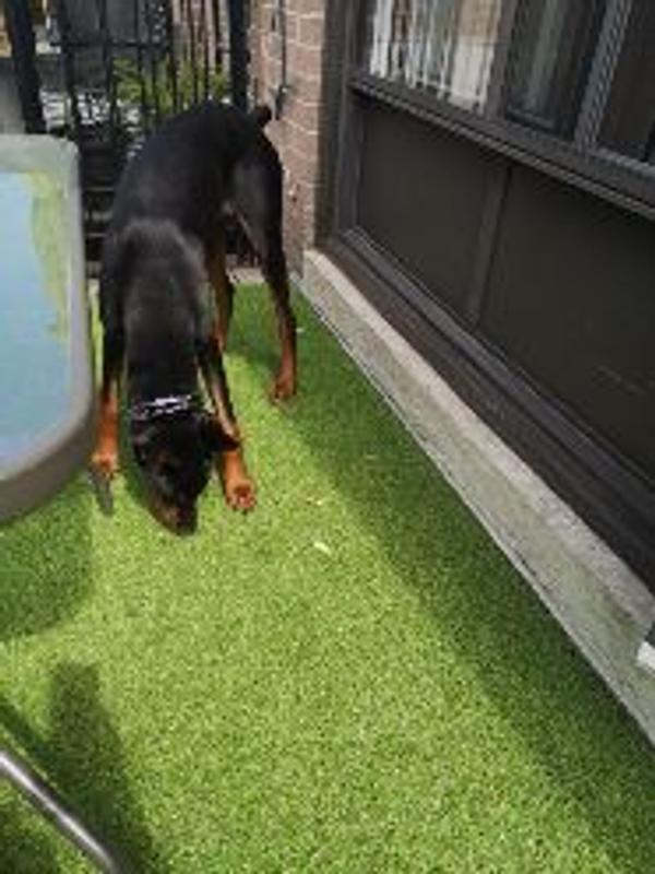 Photo - commentaire 3.