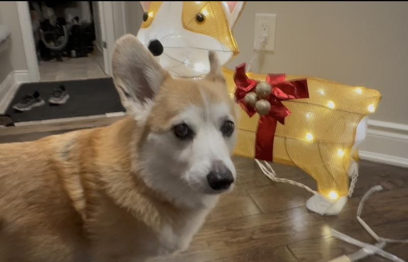 Photo - commentaire 2.