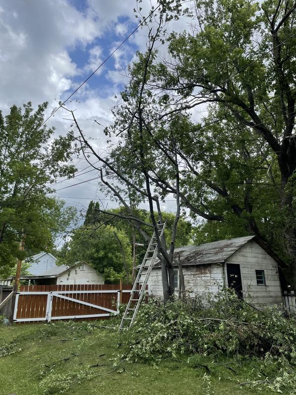 Photo - commentaire&nbsp;5.