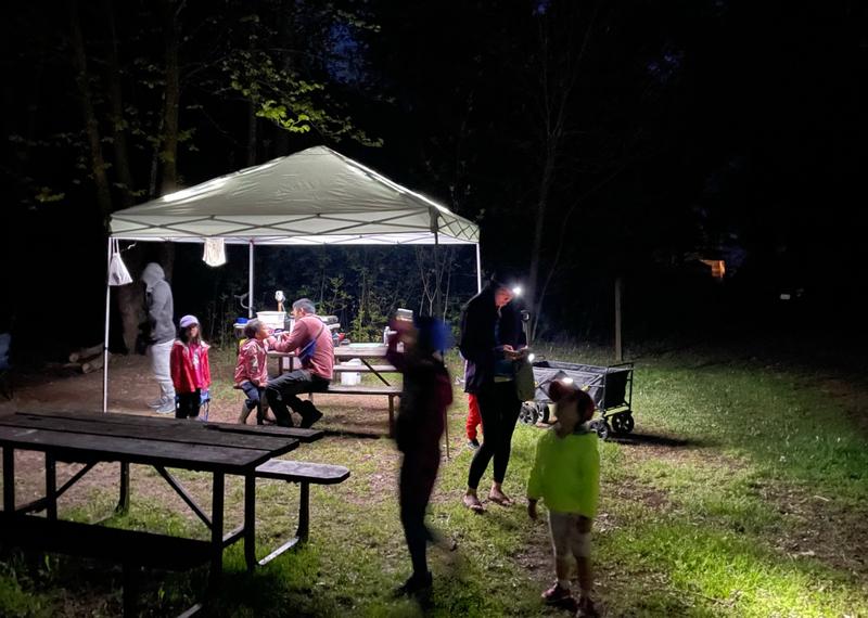 Photo - commentaire&nbsp;1.