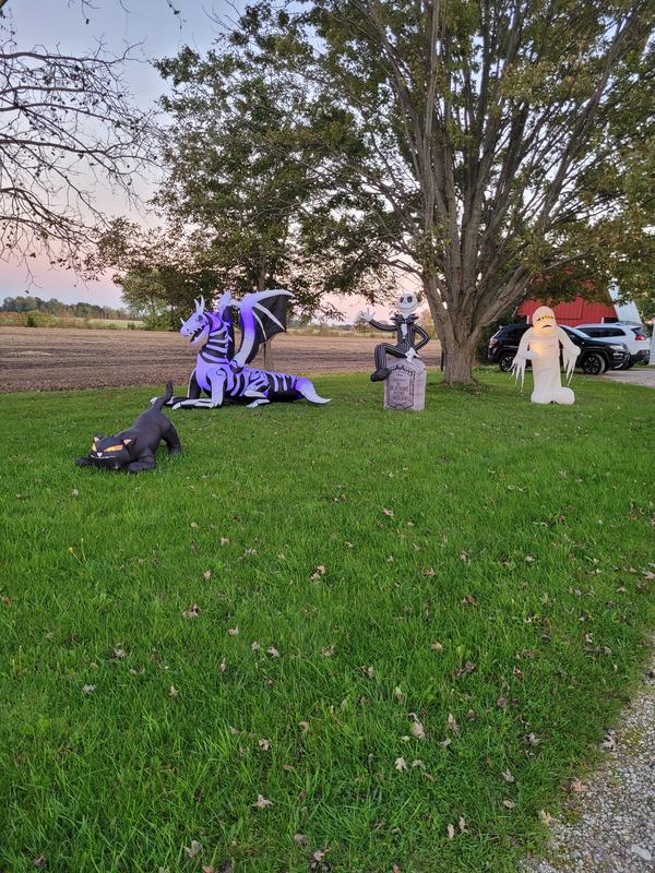Our Canadian Tire display yard.  Except for Jack Nightmare before Christmas