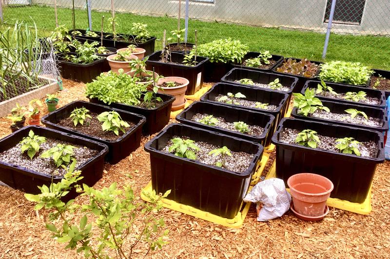 Photo - commentaire 2.