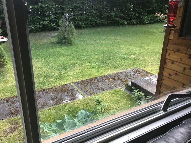 Photo - commentaire 1.