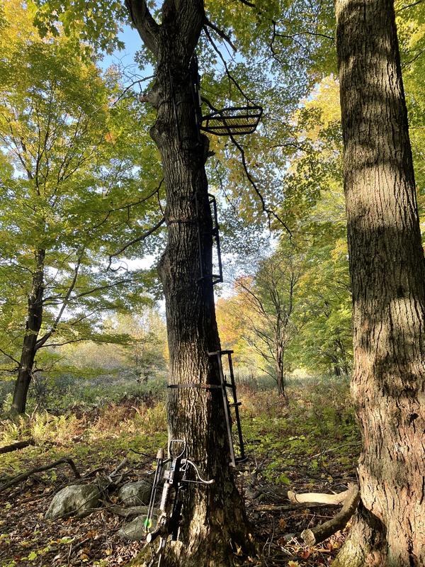 Photo - commentaire&nbsp;1.