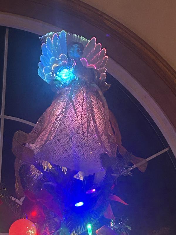 Photo - commentaire&nbsp;5.