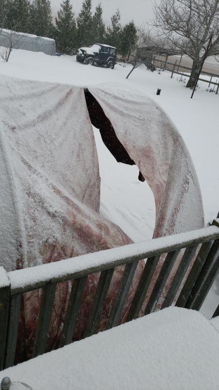 Photo - commentaire&nbsp;6.