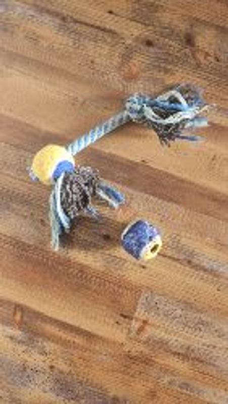 Photo - commentaire&nbsp;1.