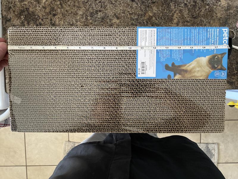 Photo - commentaire&nbsp;3.