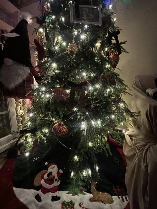 Photo - commentaire 1.