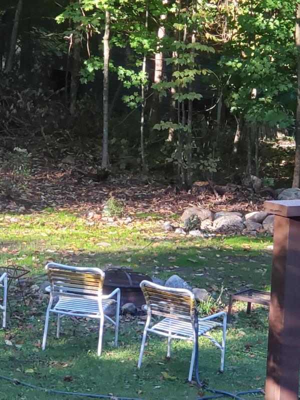 Photo - commentaire&nbsp;3.