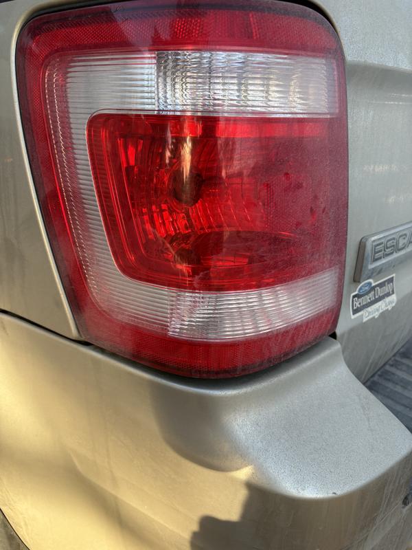 Tail signal light dual element bulb works great