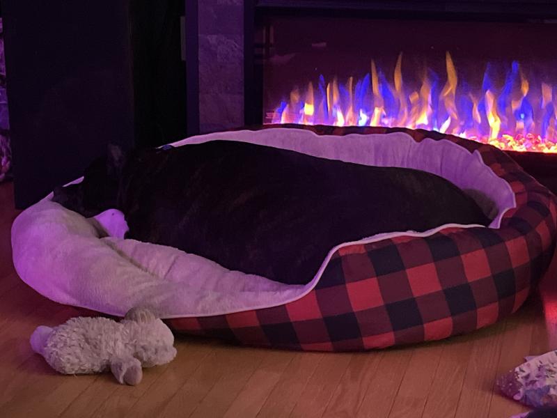 145lb Presa in this bed