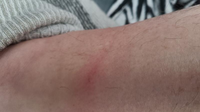 Photo - commentaire&nbsp;2.