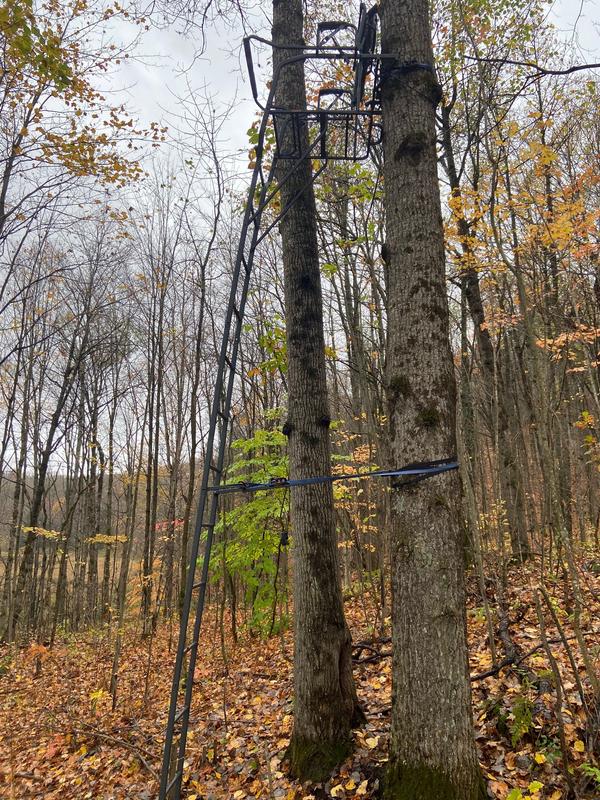 Photo - commentaire 1.