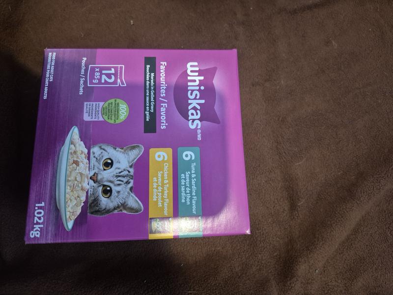 Photo - commentaire&nbsp;4.