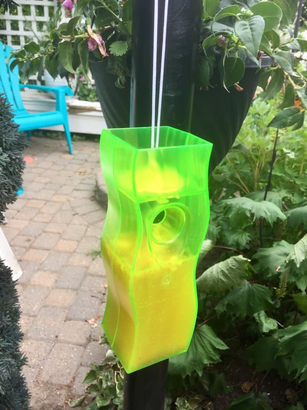 Raid Disposable Plastic Yellow Jacket, Wasp, & Hornet Trap Bag