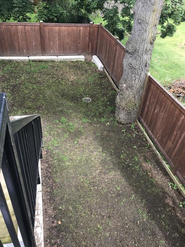 First sprouts after my first spread