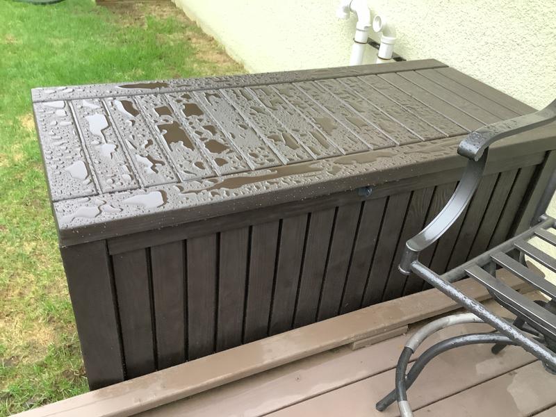 Photo - commentaire 6.