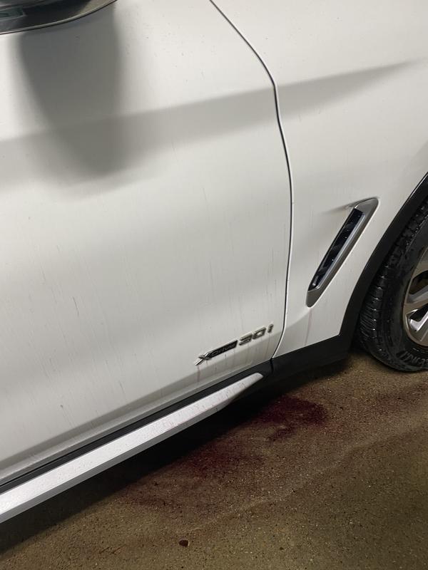 Photo - commentaire&nbsp;5.