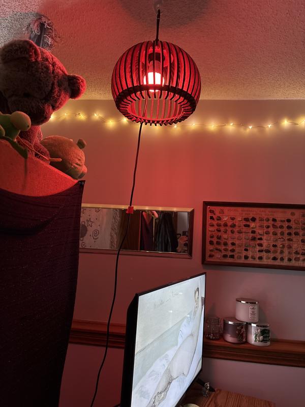 Homemade seag with light cord
