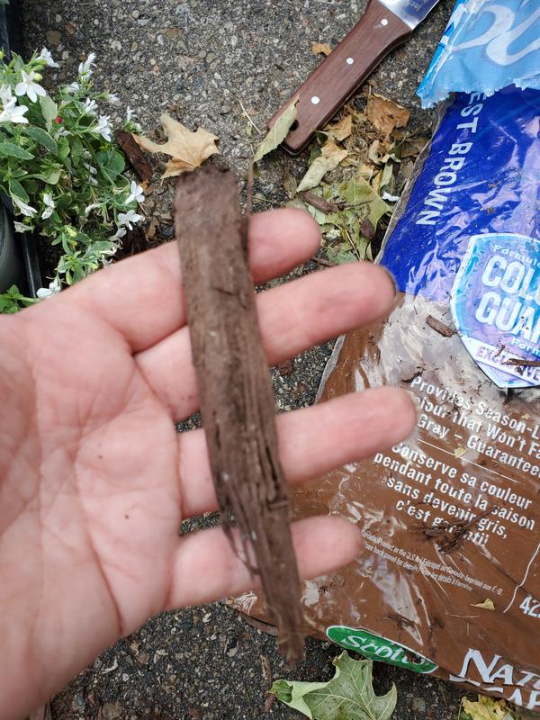 Example of mulch pieces