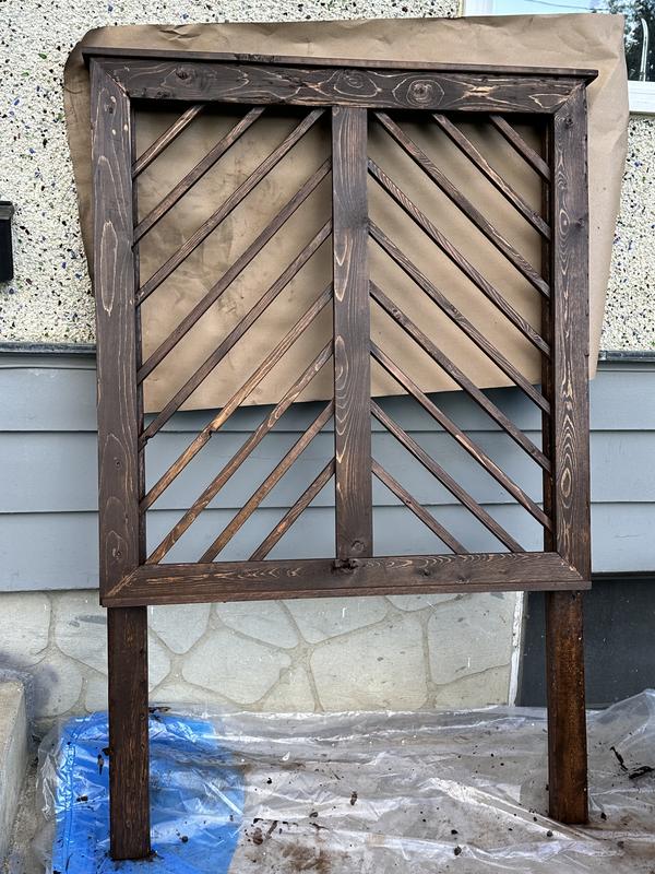 My planter