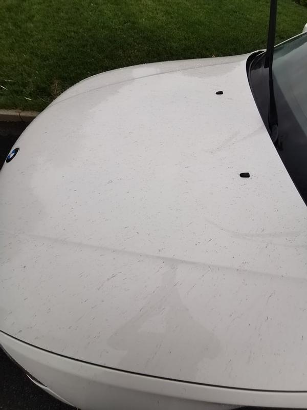 Photo - commentaire&nbsp;3.