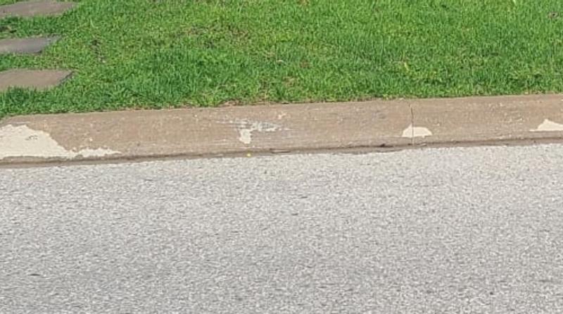 1 week after overseeding and fertilizing