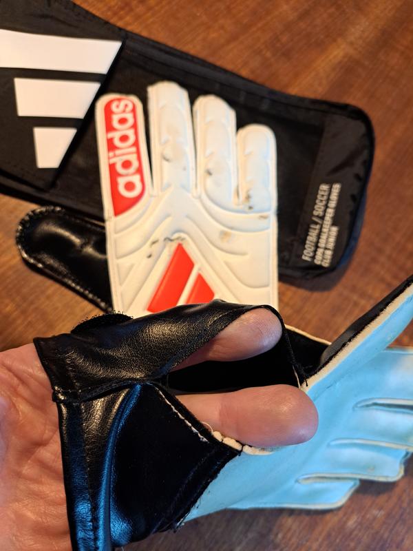 Photo - commentaire 1.