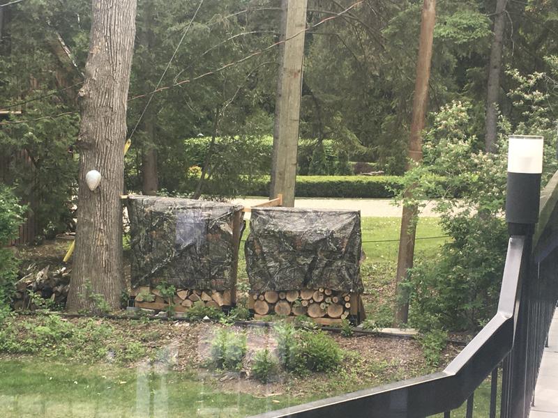 Photo - commentaire&nbsp;3.