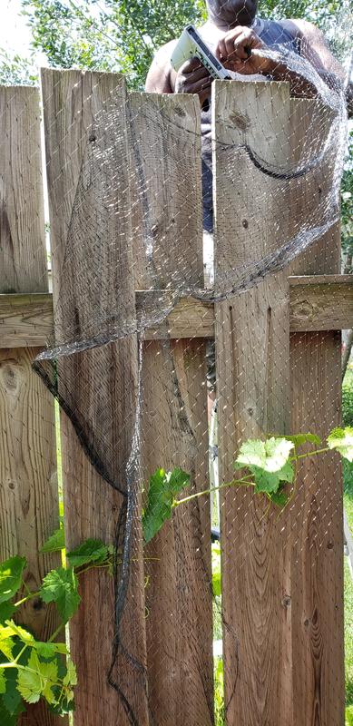 Photo - commentaire&nbsp;5.